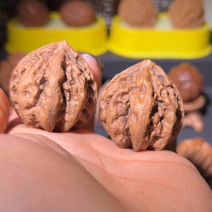 文玩核桃把件核桃34B