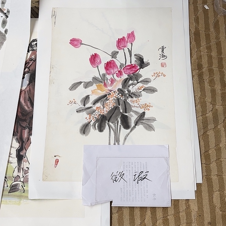 国画花鸟等多种鸟类的栖息环境