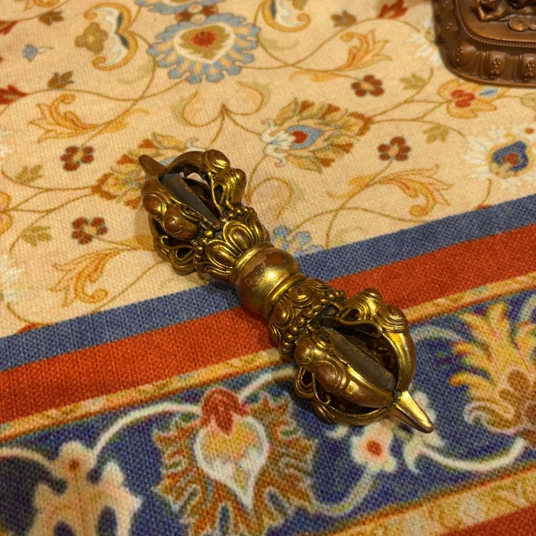 夏***虫我们都会好好努力