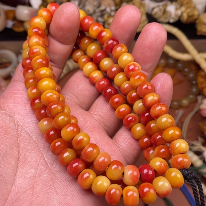 驼骨其他人工养殖