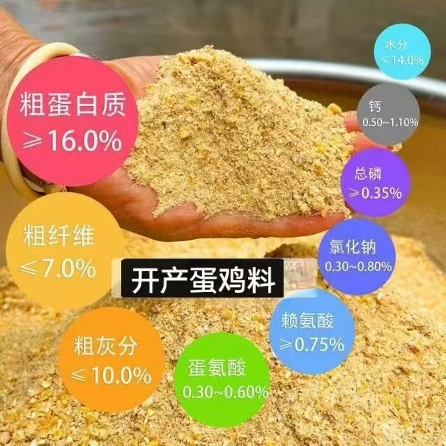 开产蛋鸡定制玉米面饲料营养均衡高蛋白高品质