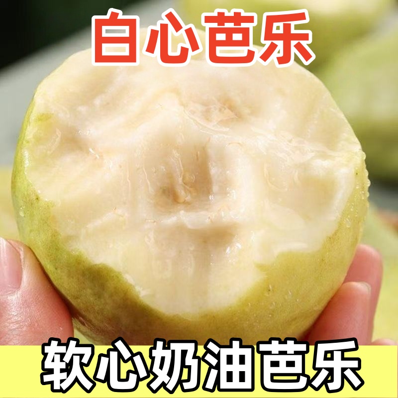 【2号链接】广东白心芭乐（产地直发）