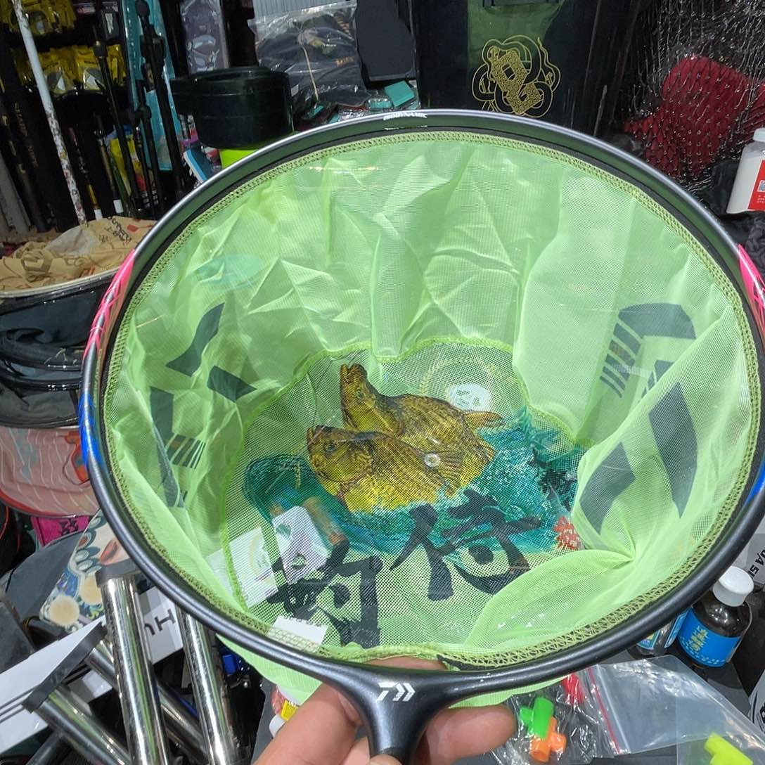 墙***你梧桐木特价商品5号