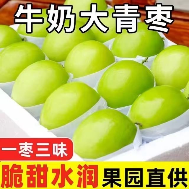 潮汕牛奶大青枣，自己果园现摘现发，清甜爽口多汁