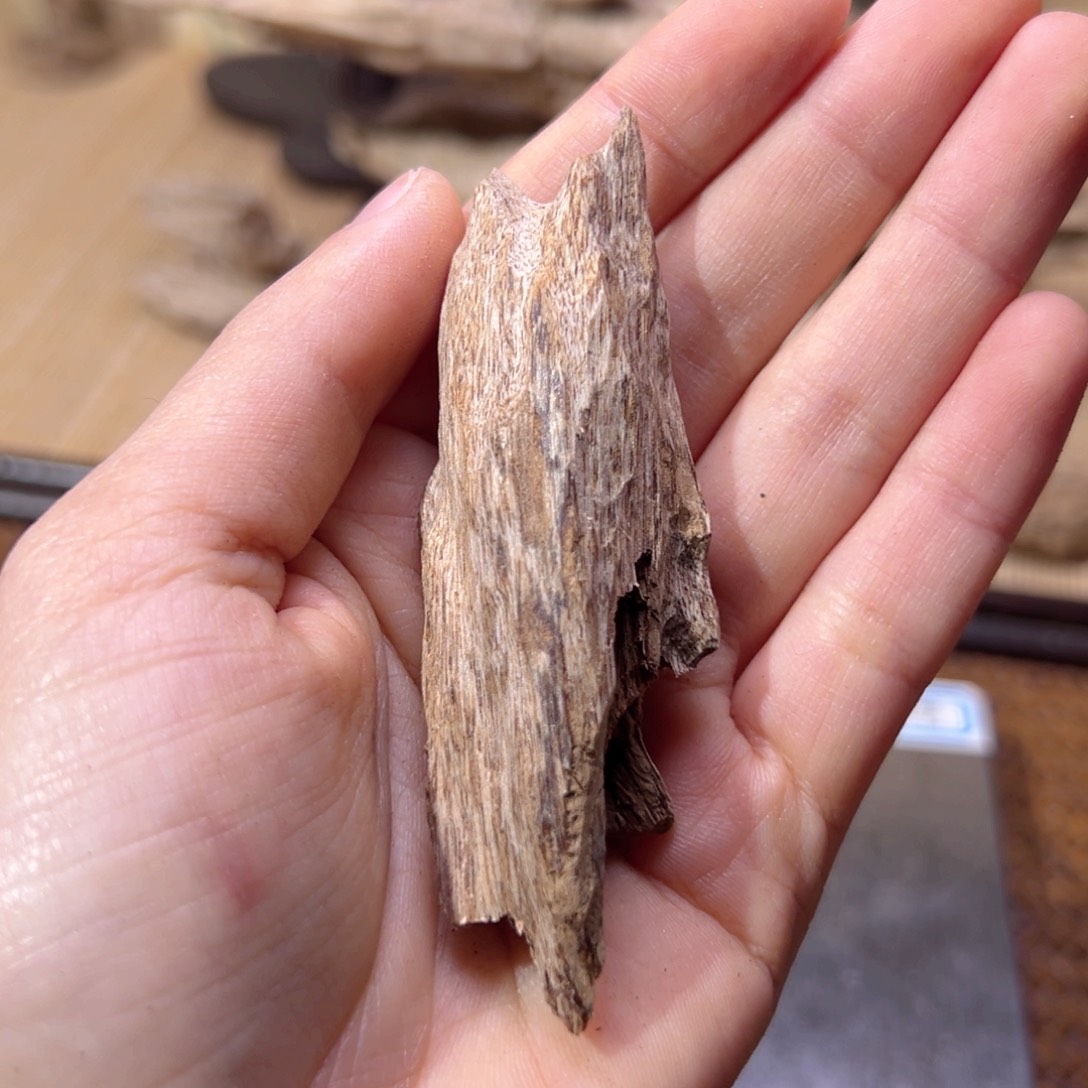 【闪购商品】香榧木海南木料大山虎斑棋6克福利