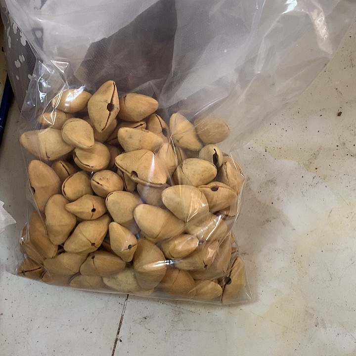 西***卡千眼菩提吊坠果壳