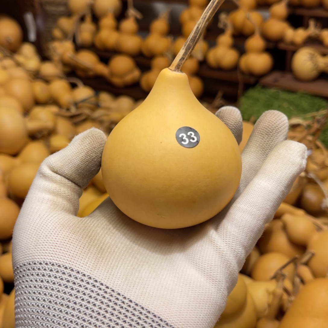 闪拍葫芦链接-33号品