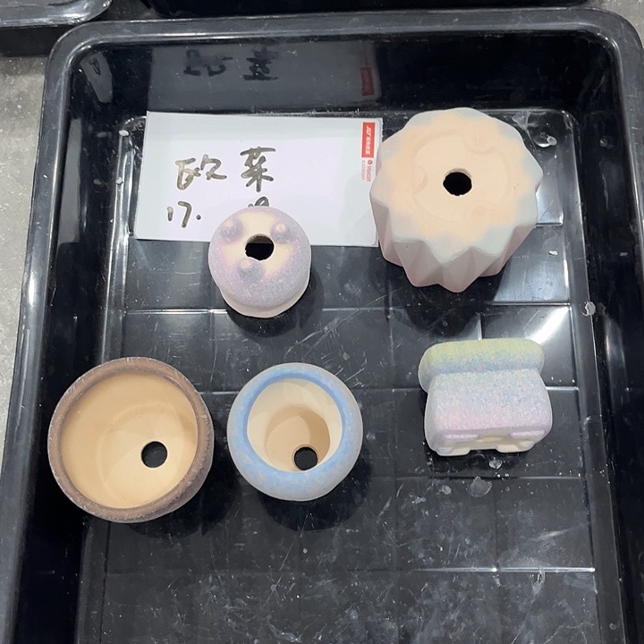 陶小欧菜专属盆盆