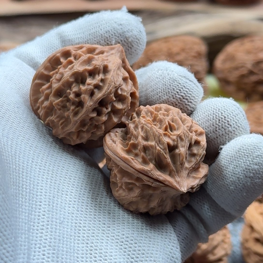 红***树文玩核桃吊坠236号陕西野生核桃小手捻