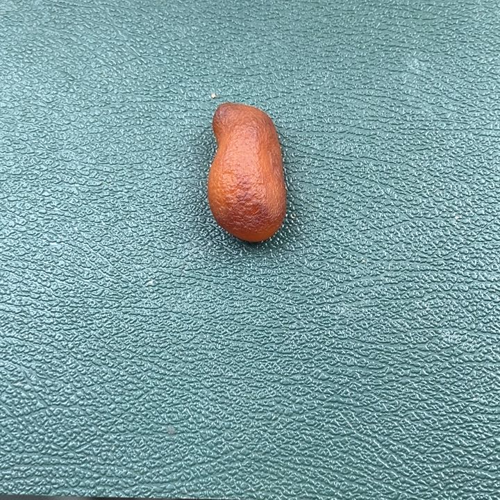 定制琥珀蜜蜡裸石