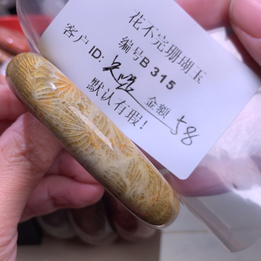 硅化玉颈饰未镶嵌知****安