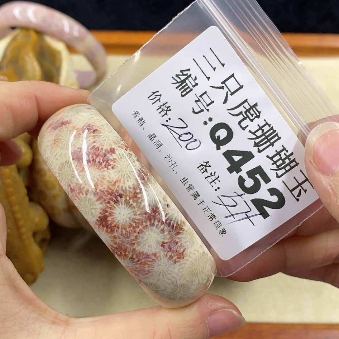 硅化珊瑚（珊瑚玉）1未镶嵌一*云