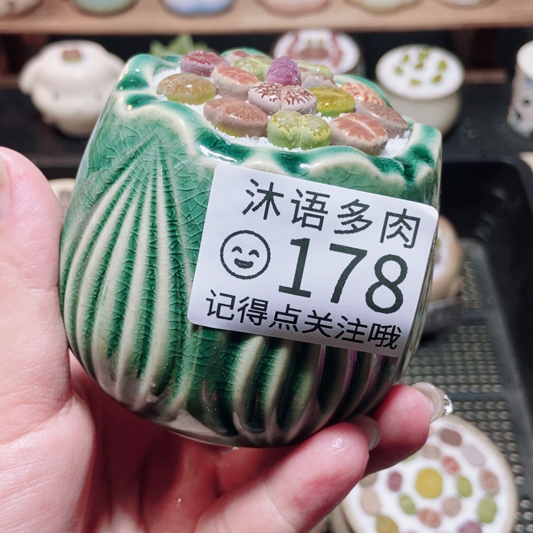 一物一拍 所见即所得 178