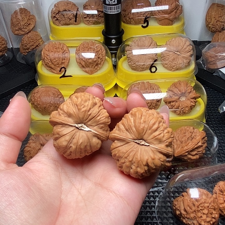 43全品南瓜             