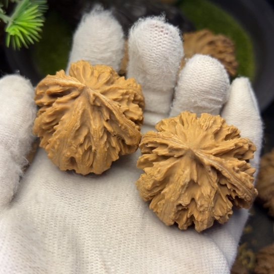 吊坠文玩核桃秦岭核桃7