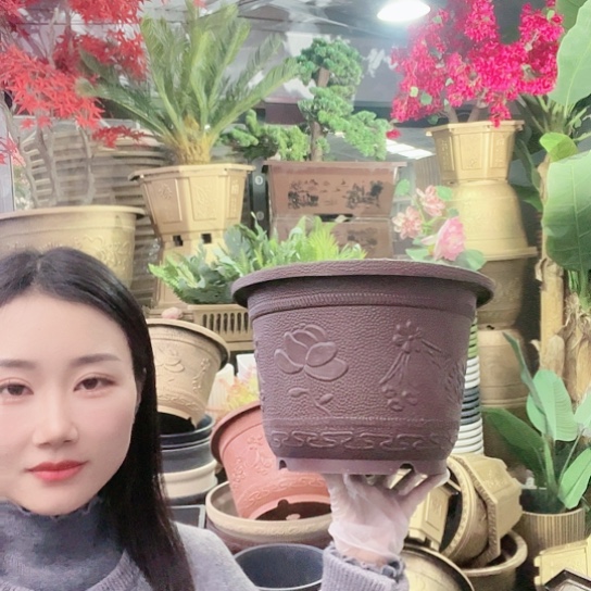 红陶梅花30盆10个有孔