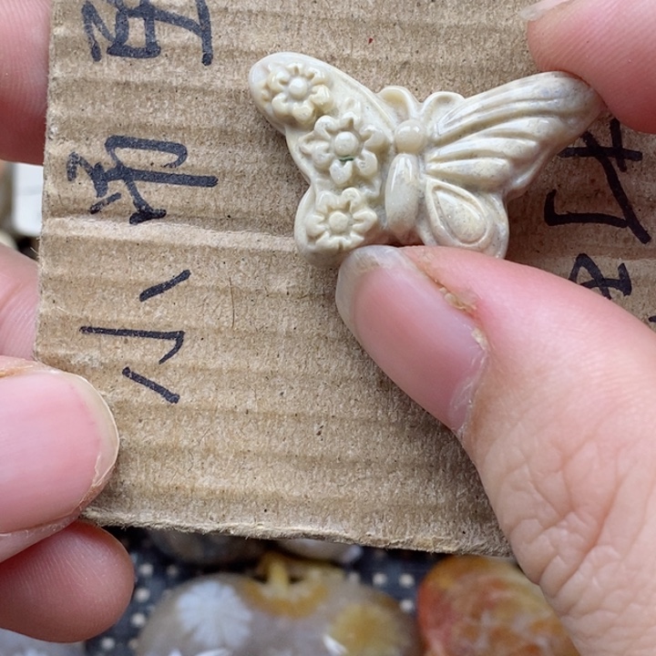 颈饰未镶嵌硅化珊瑚（珊瑚玉）用****1