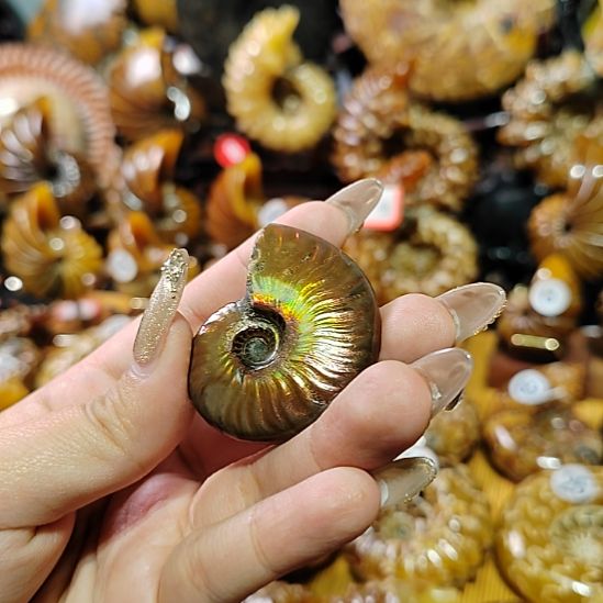 安***泽1564167423874697螺