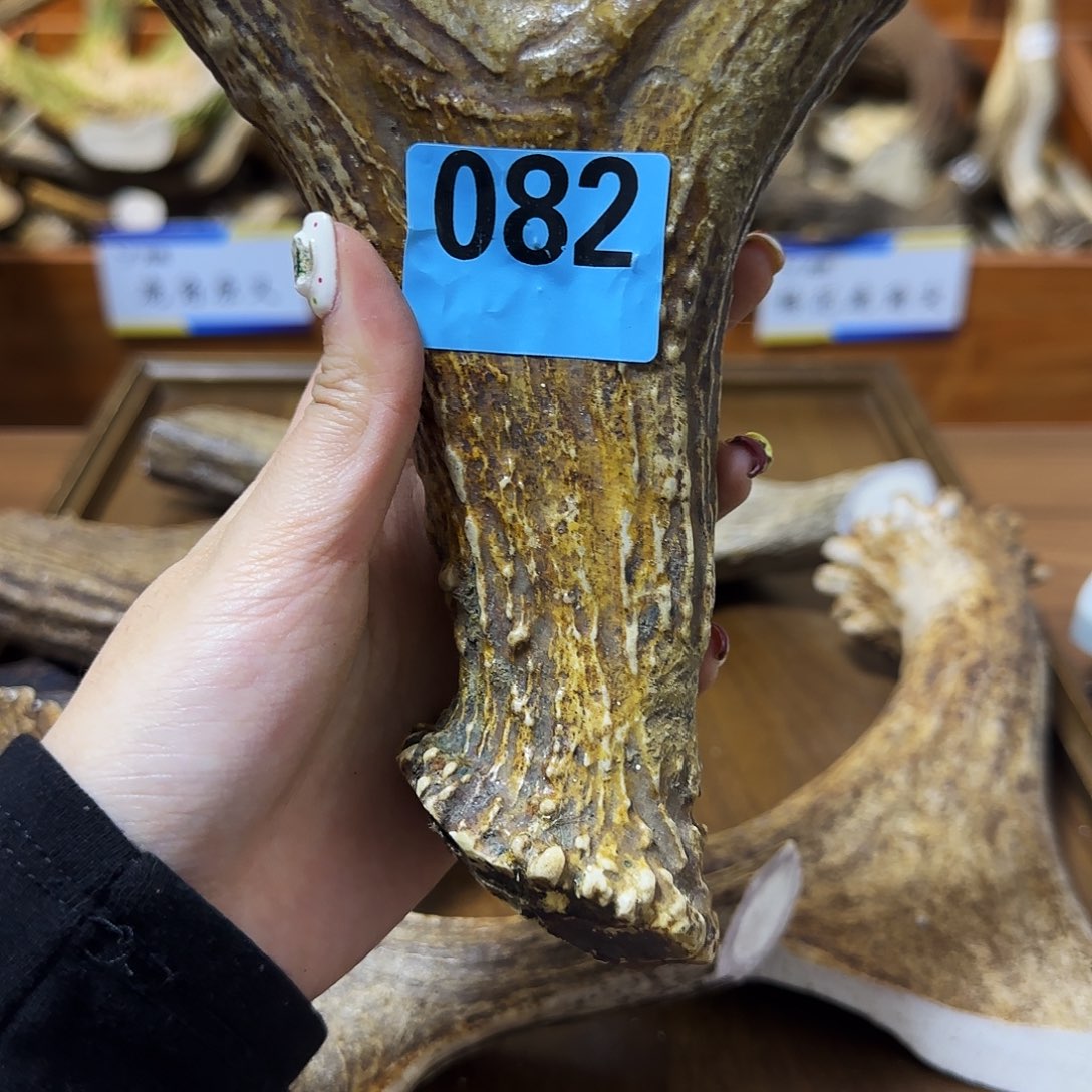 手串/手链鹿骨弹弓082 长15 弓13 柄3.1