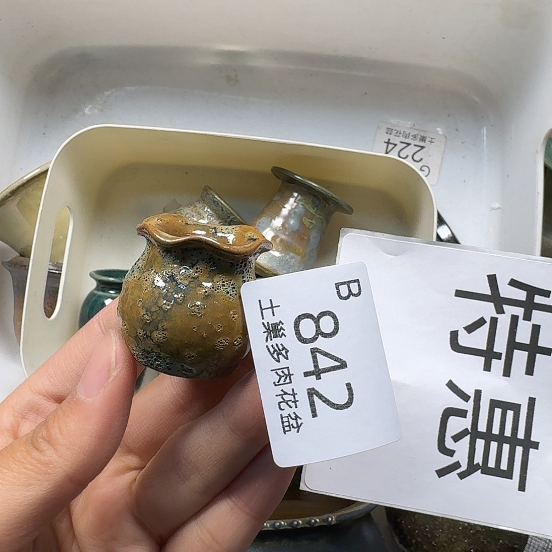 罐@***言陶瓷艺术与工艺