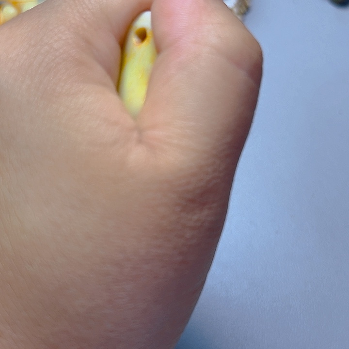 大果紫檀（缅甸花梨）