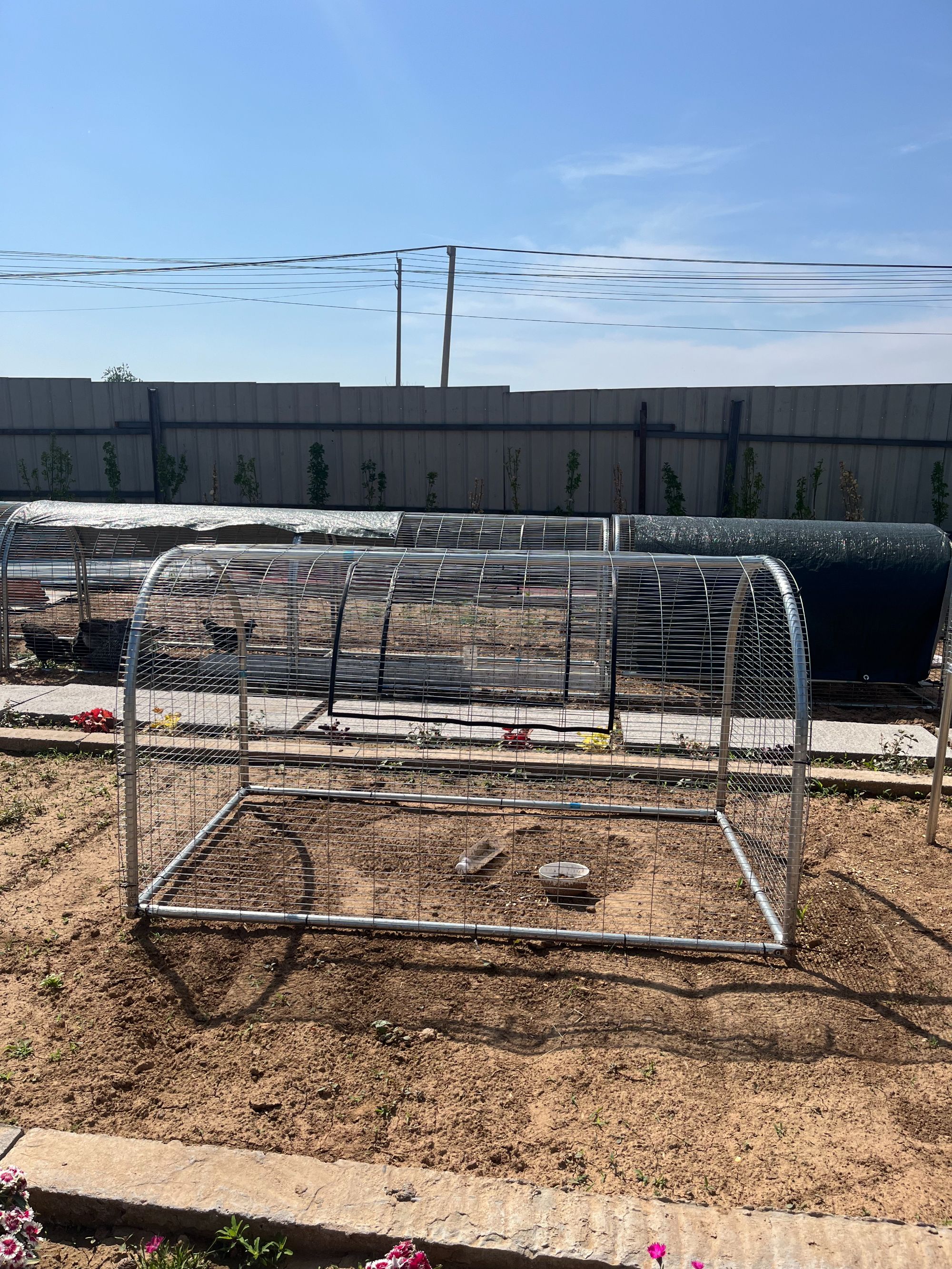 落地款新型跑道鸡笼走地鸡跑道隧道式鸡笼加粗加密镀锌网