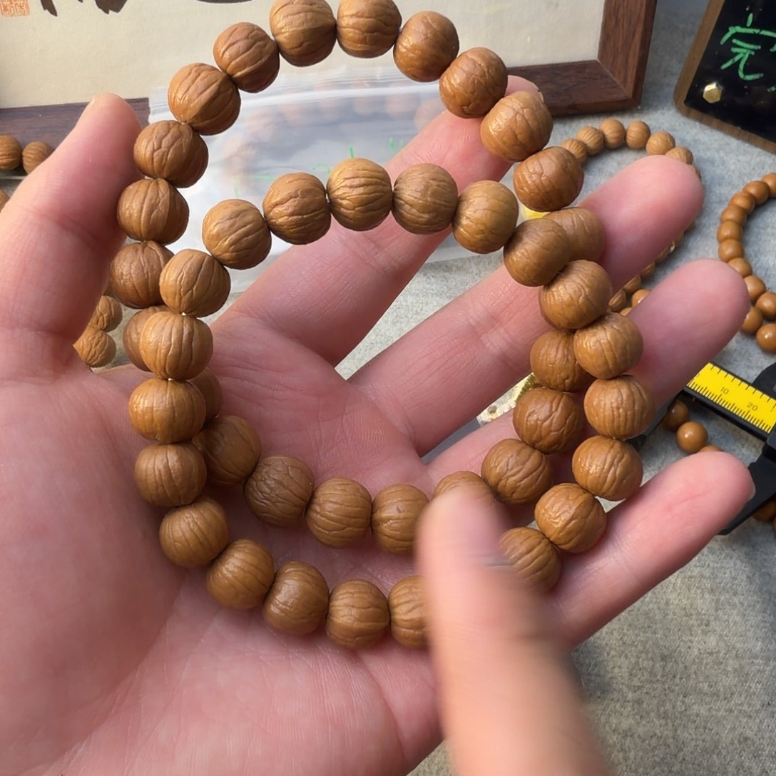 12尺寸双鳍小南瓜两条