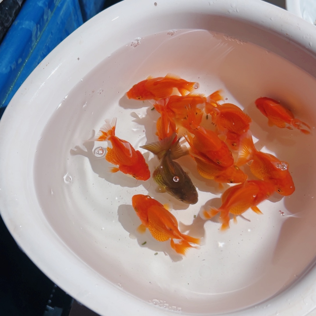 嘉***茜海水111111111111111