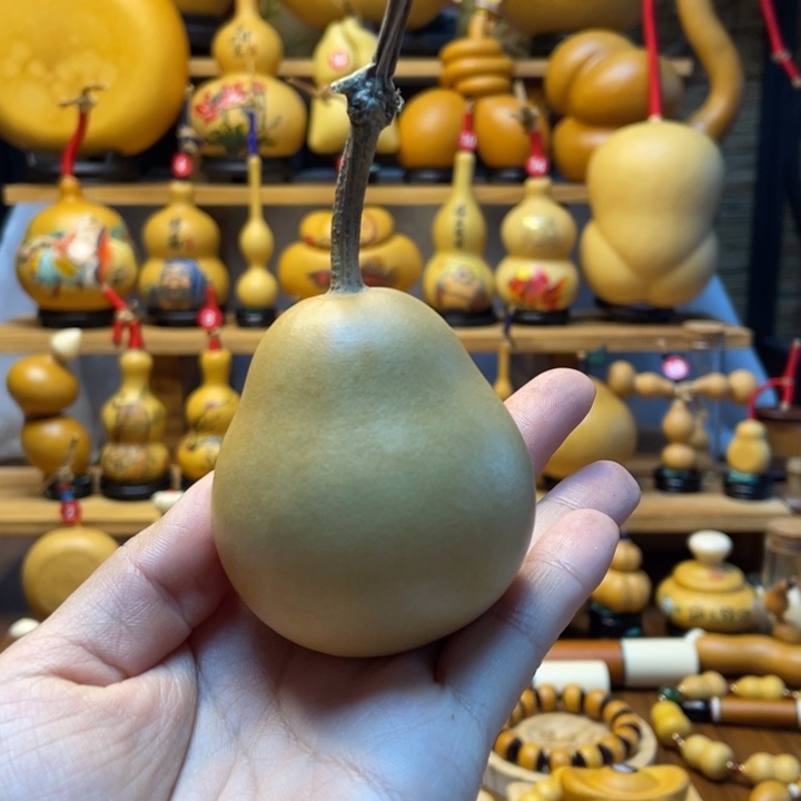 用****4天然葫芦自然生长用户9194