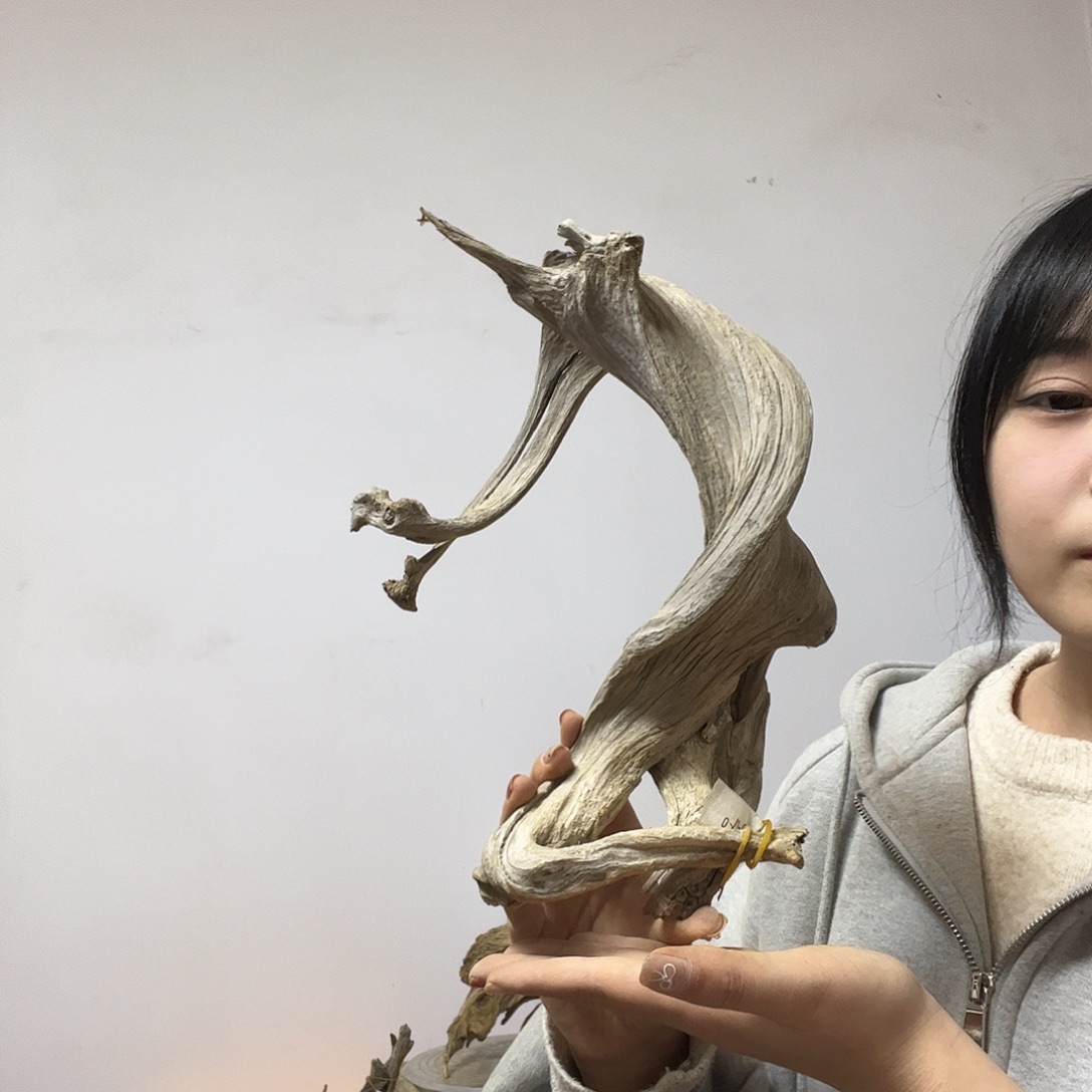 释***～柏木却不知道自己是怎么