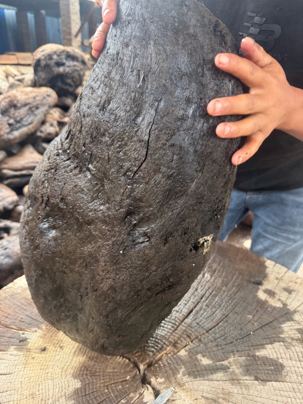 民间使用风化木漂流木不含运