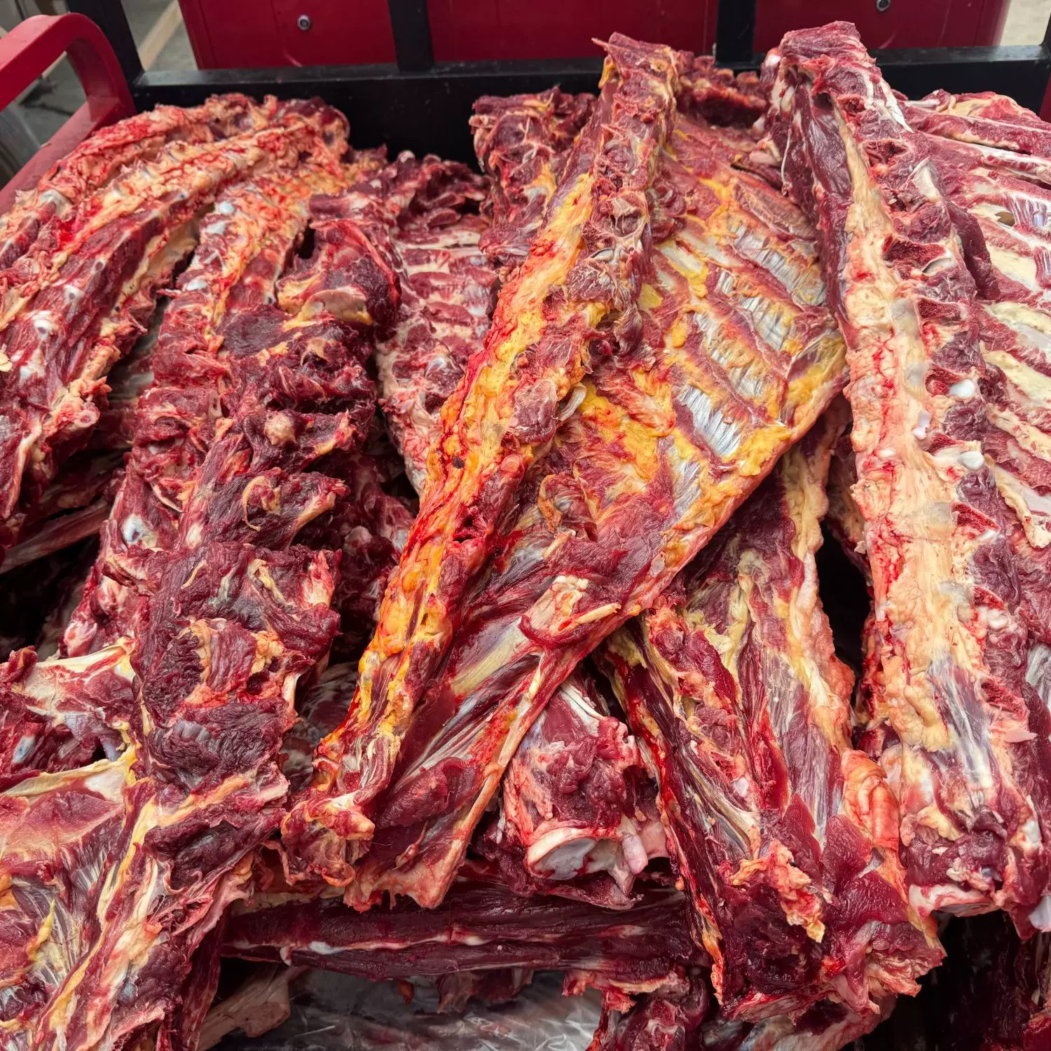 黄牛 牛排骨两边骨头 带肉熬汤 清炖类福利品（5斤火锅食材