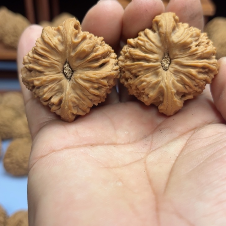 完全开放高***?南疆石