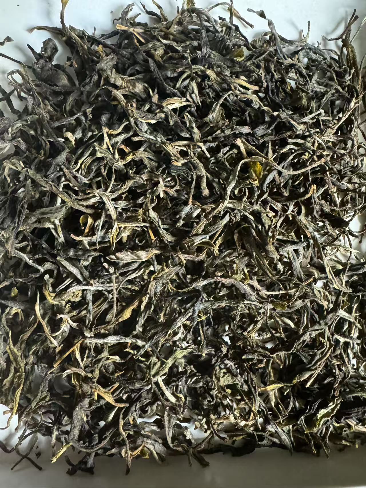 2025年-冰岛 南迫  散料 森林茶-普洱茶-生茶