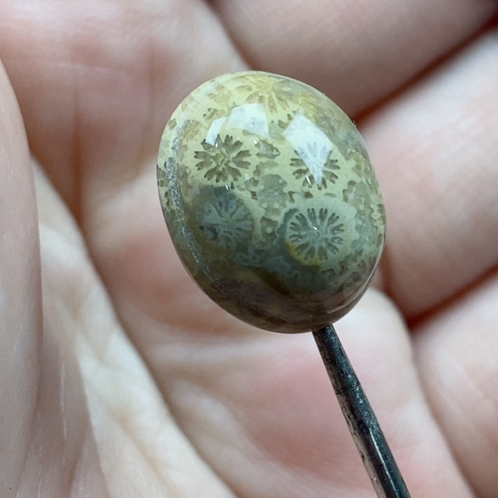 颈饰未镶嵌硅化珊瑚（珊瑚玉）小