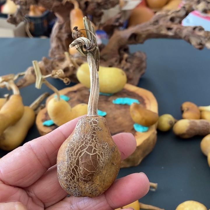 迷****gxbxbbxbxjxsjss