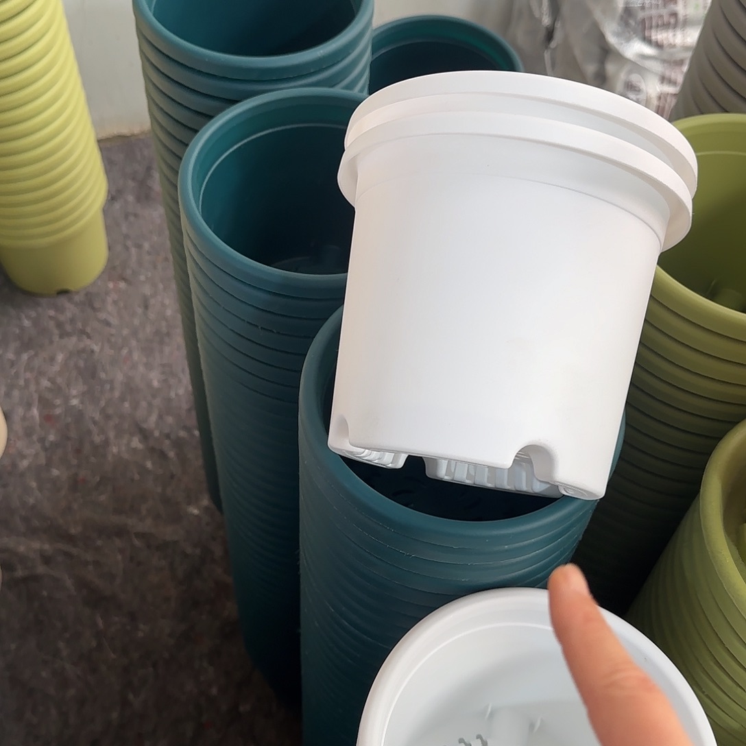 树脂四季2号带托6个，颜色留言