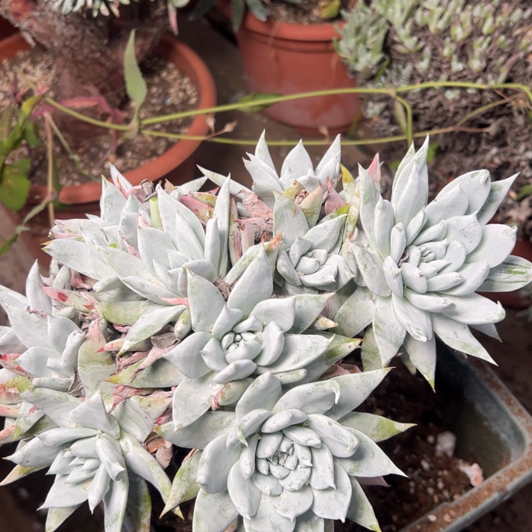 7**82884哈哈哈哈哈哈哈哈哈哈