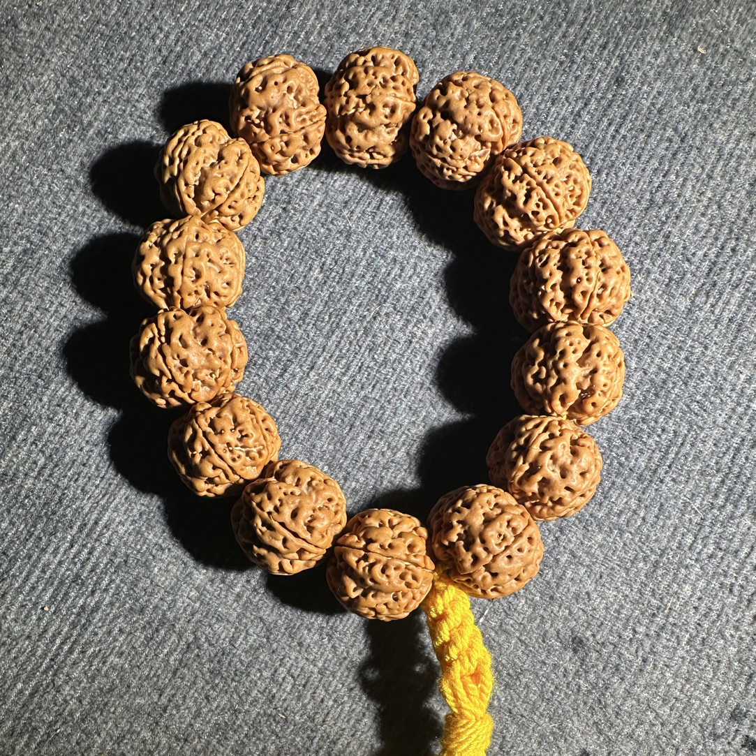 金刚菩提五瓣双龙纹