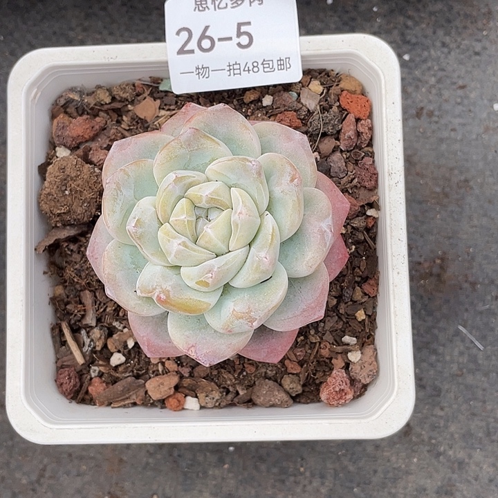 嘤***怪你在干嘛呢我在洗衣服