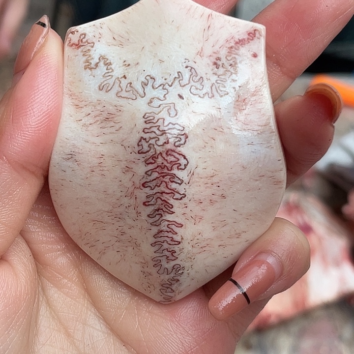 养殖鹿骨三界牌子