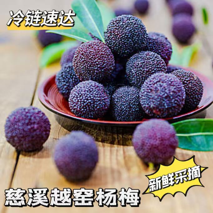 新鲜杨梅慈溪正宗荸荠种杨梅当季水果新鲜采摘现发孕妇可吃