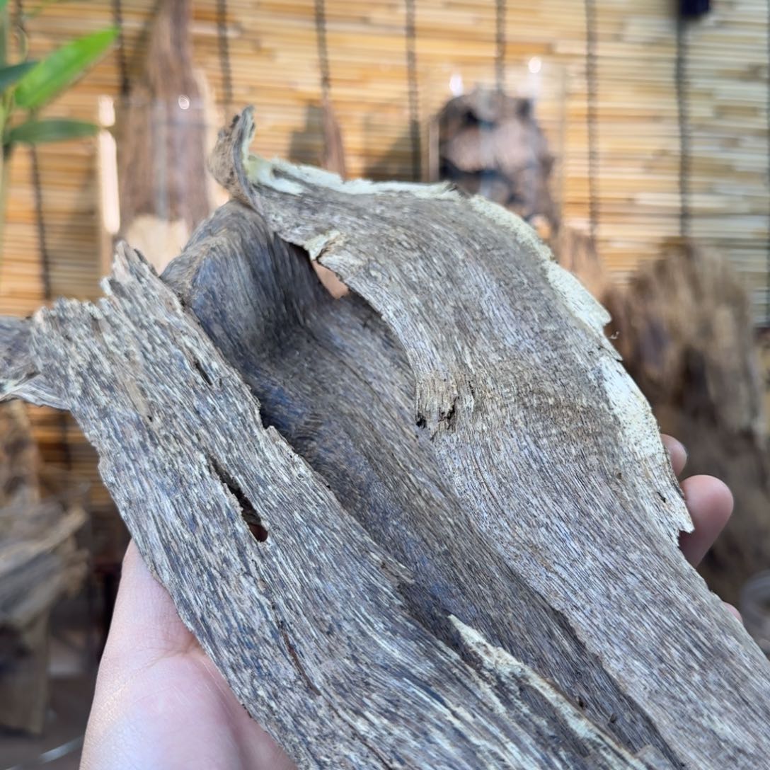 沉香沉香碎屑沉香虎斑树根油55g