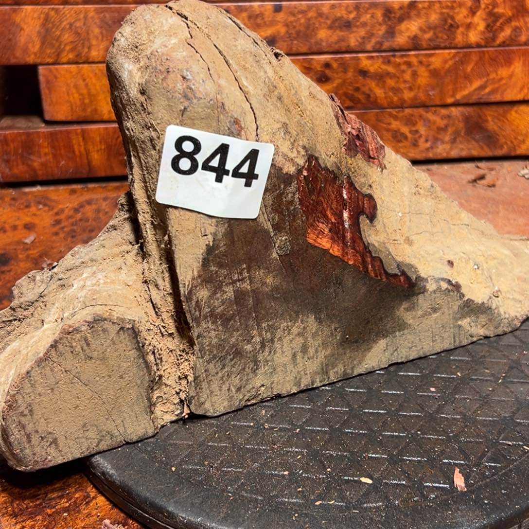 大果紫檀（缅甸花梨）