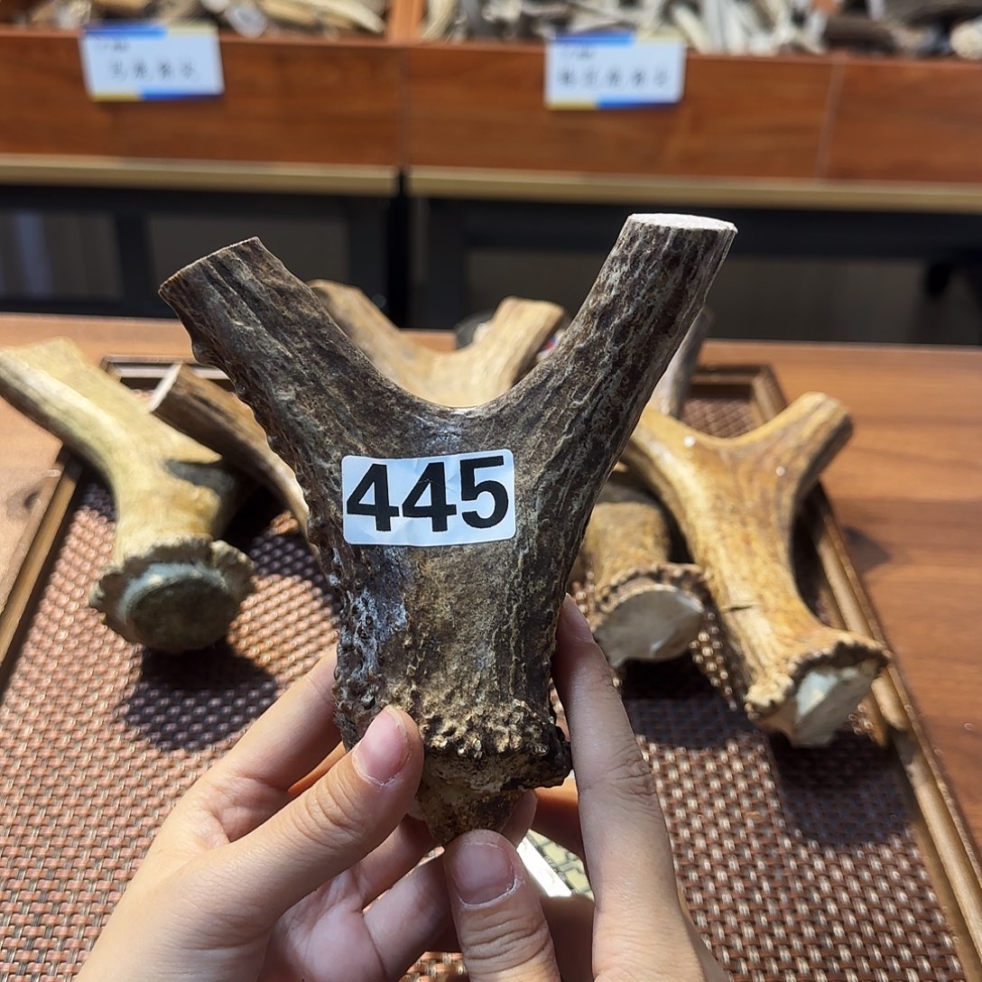 手串/手链鹿骨445弹弓13.5*12.7*4.9cm