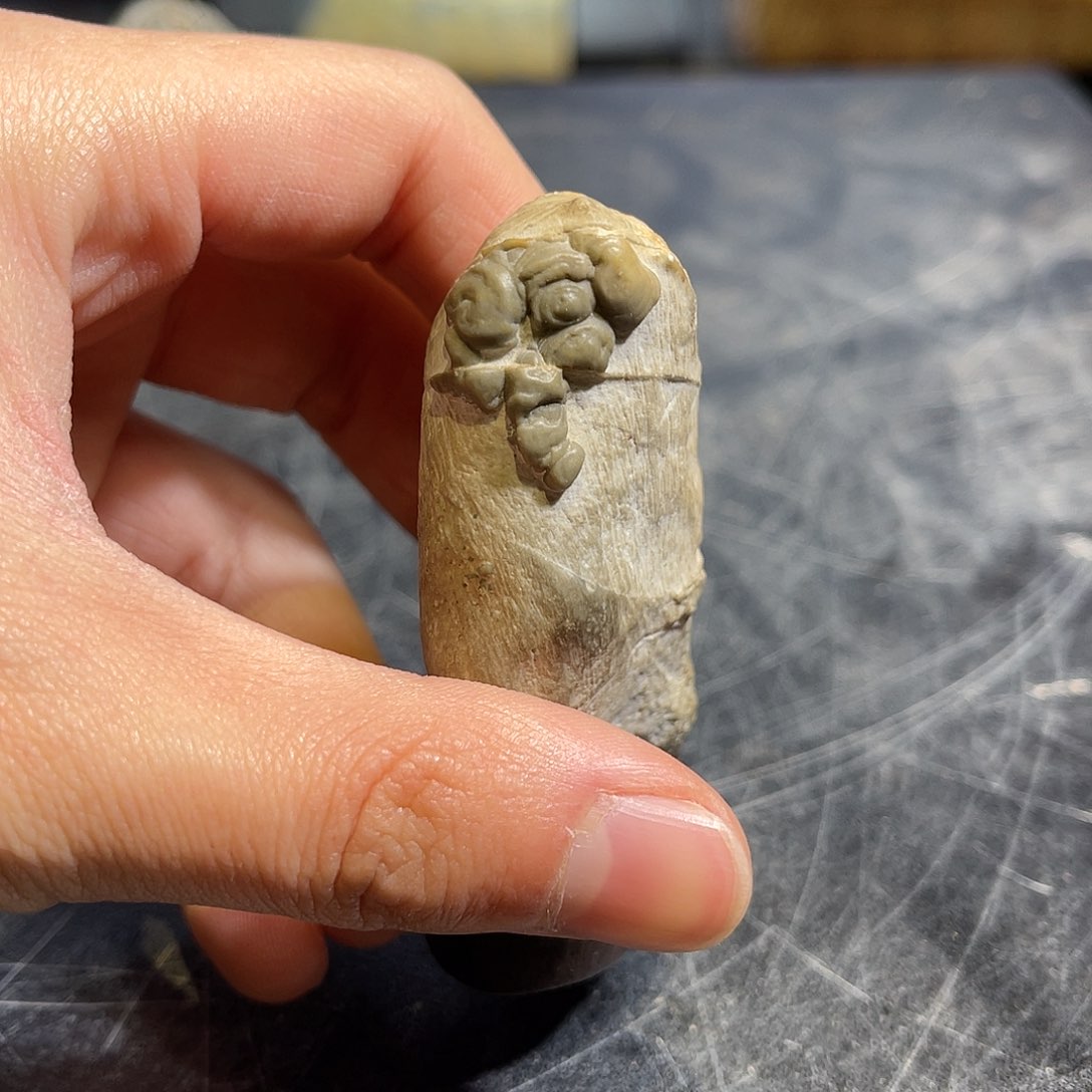 紫砂全场不包邮哦