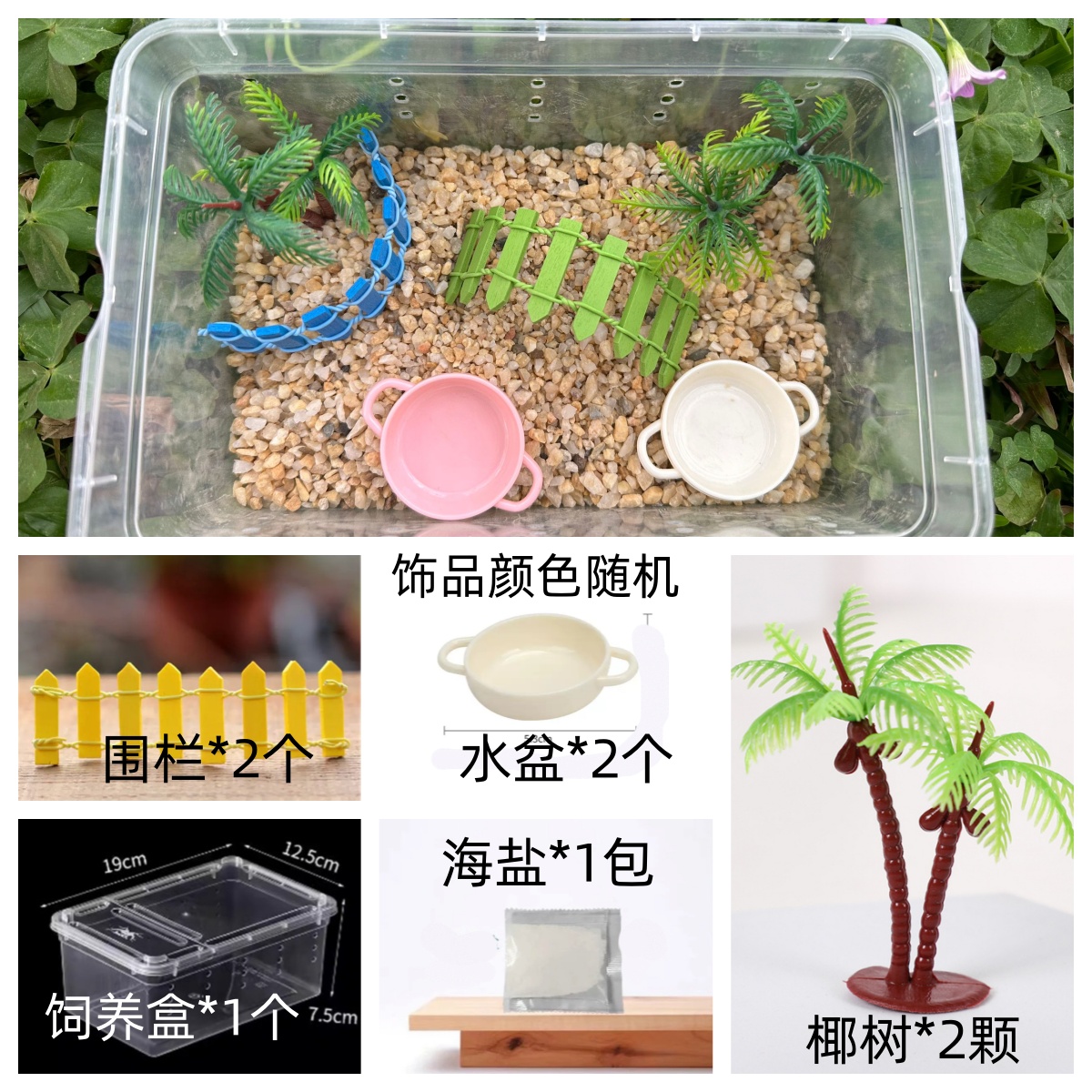 活体寄居蟹宠物饲养箱套装专用沙造景躲避屋水盆攀爬藤海盐螃蟹缸