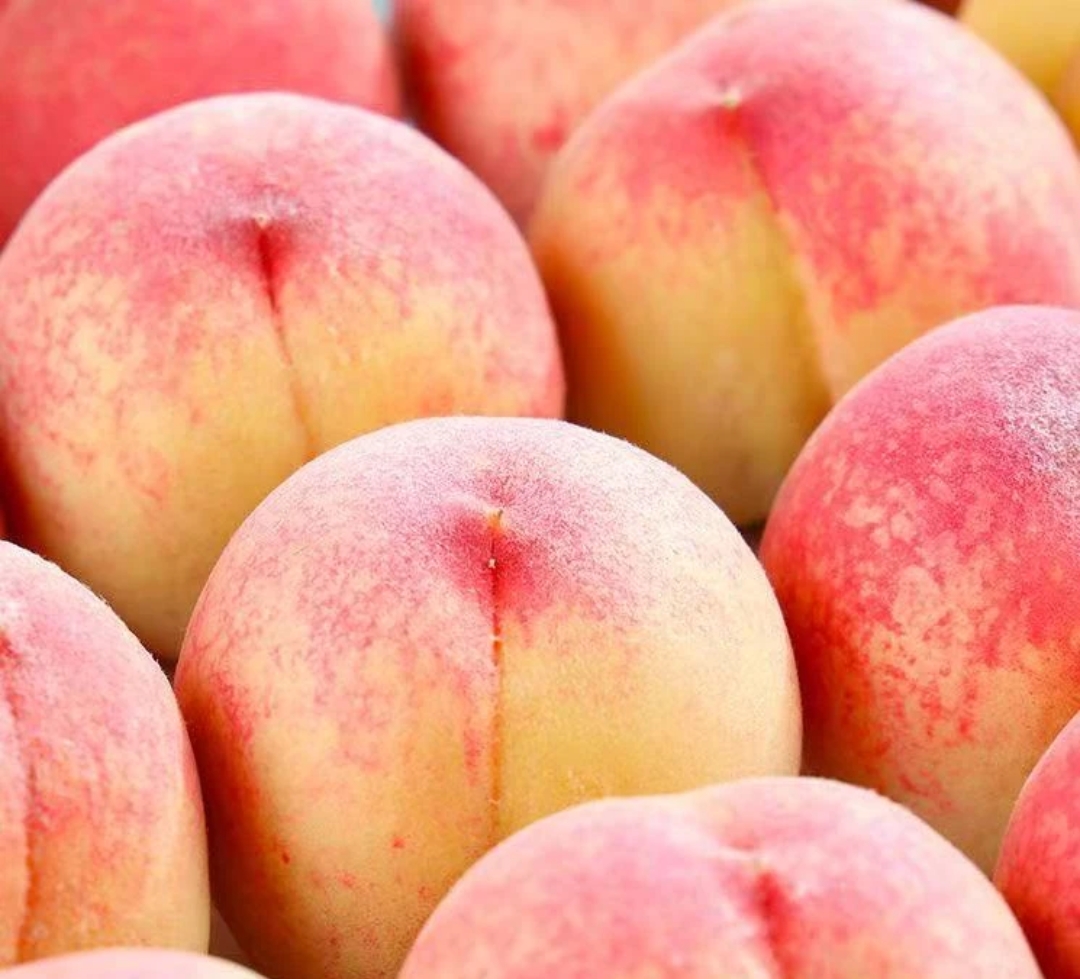 正宗产地直发新鲜现摘当季水蜜桃软硬两吃香甜爆汁