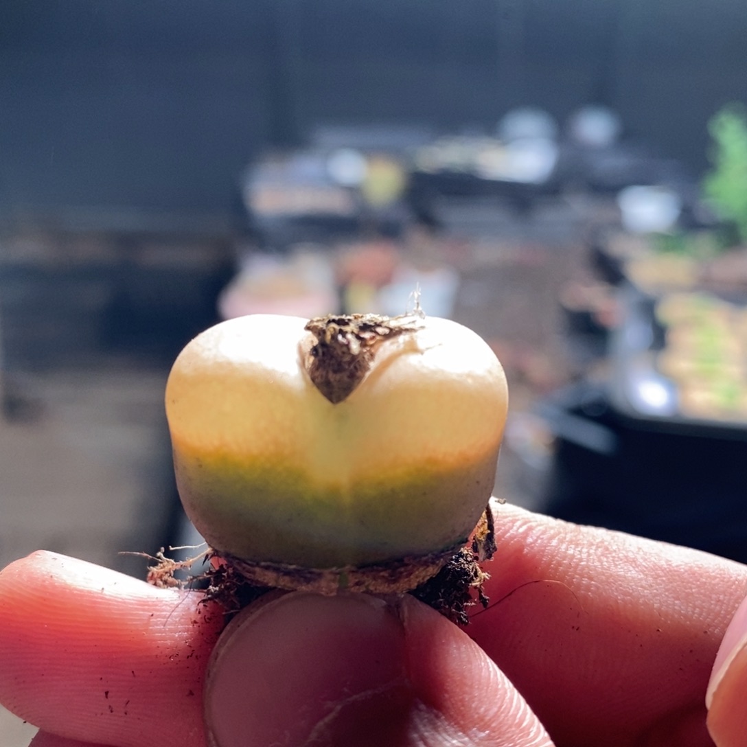 9151一个一个一个