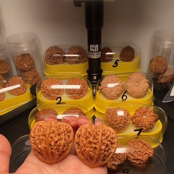 41三角形龙门涧           